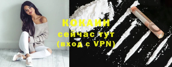 твердый Арсеньев