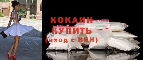 твердый Арсеньев