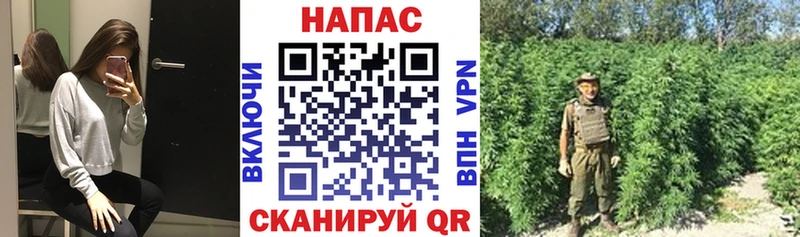 mega как войти  Семилуки  Конопля MAZAR 